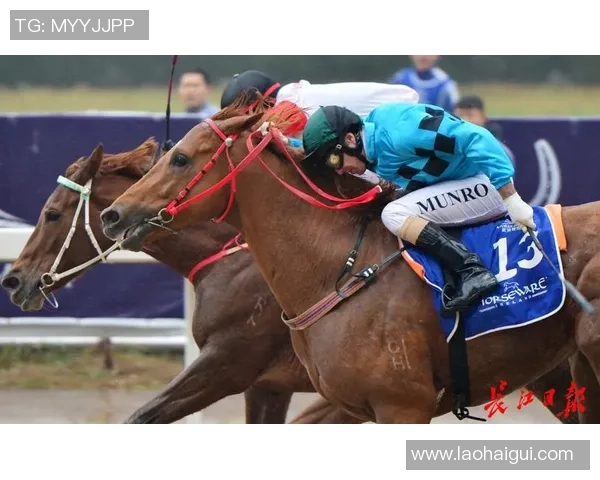 武汉乒乓球队在全国速度排行榜中荣登第四名展现强劲实力